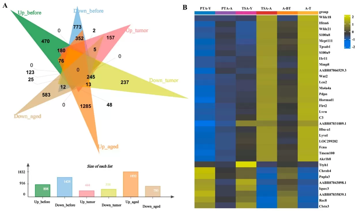 Transcriptome analysis shows differential gene expression in PTA-A&Y, TSA-A&Y, and PTA&TSA-A.